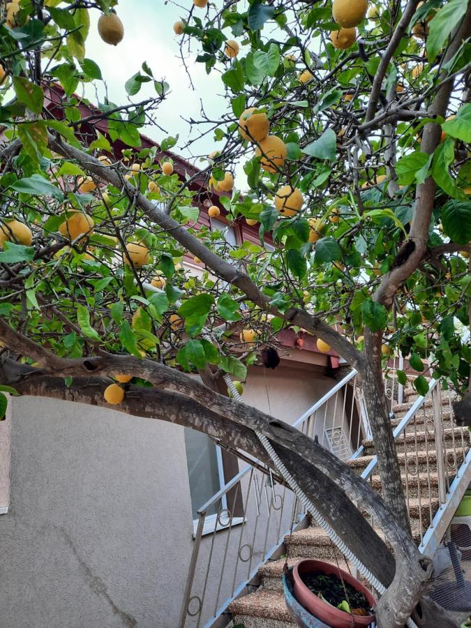 יחידת נוף הרים Nof Harim Διαμέρισμα Maalot Tarshiha Εξωτερικό φωτογραφία